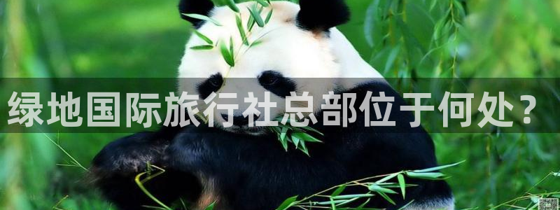 披风少年海角社区：绿地国际旅行社总部位于