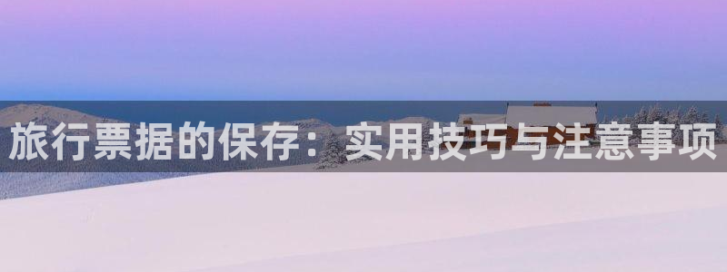 海角社区伦理：旅行票据的保存：实用技巧与注意事项