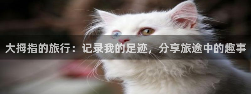 海角社区社交平台入口：大拇指的旅行：记录