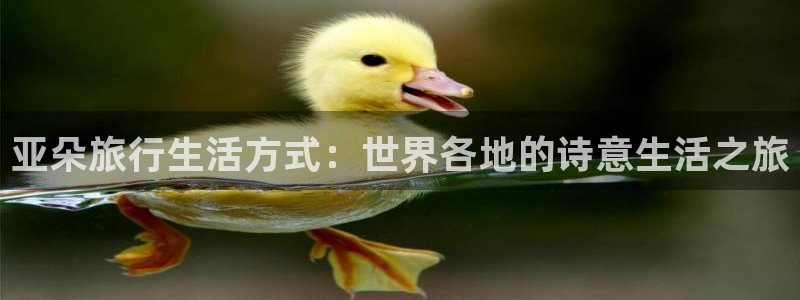 两海角社区id:11207126：亚朵旅